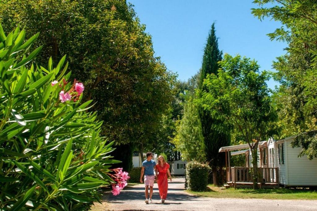 Mobil Home Tout Confort 6 Personnes Climatise Au Pied Du Luberon La Roque-d'Antheron Kültér fotó